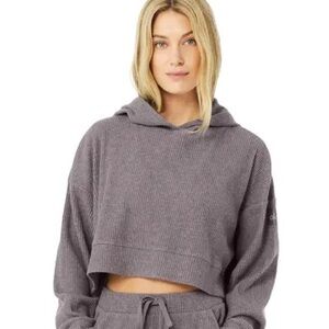 Alo Muse Hoodie Raisinette Heather Size XS